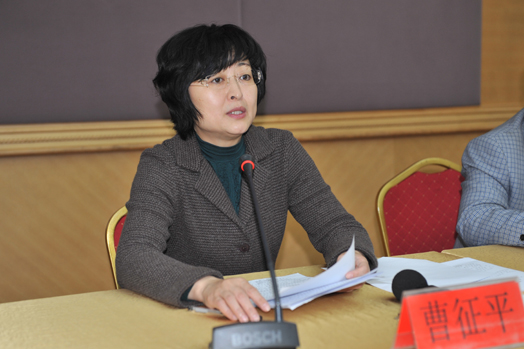 市委副书记曹征平讲话