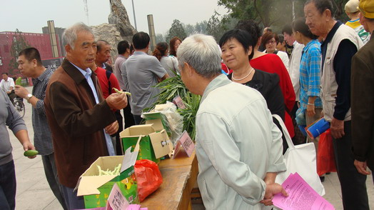 文献综述范文模板_乡镇人口综述材料